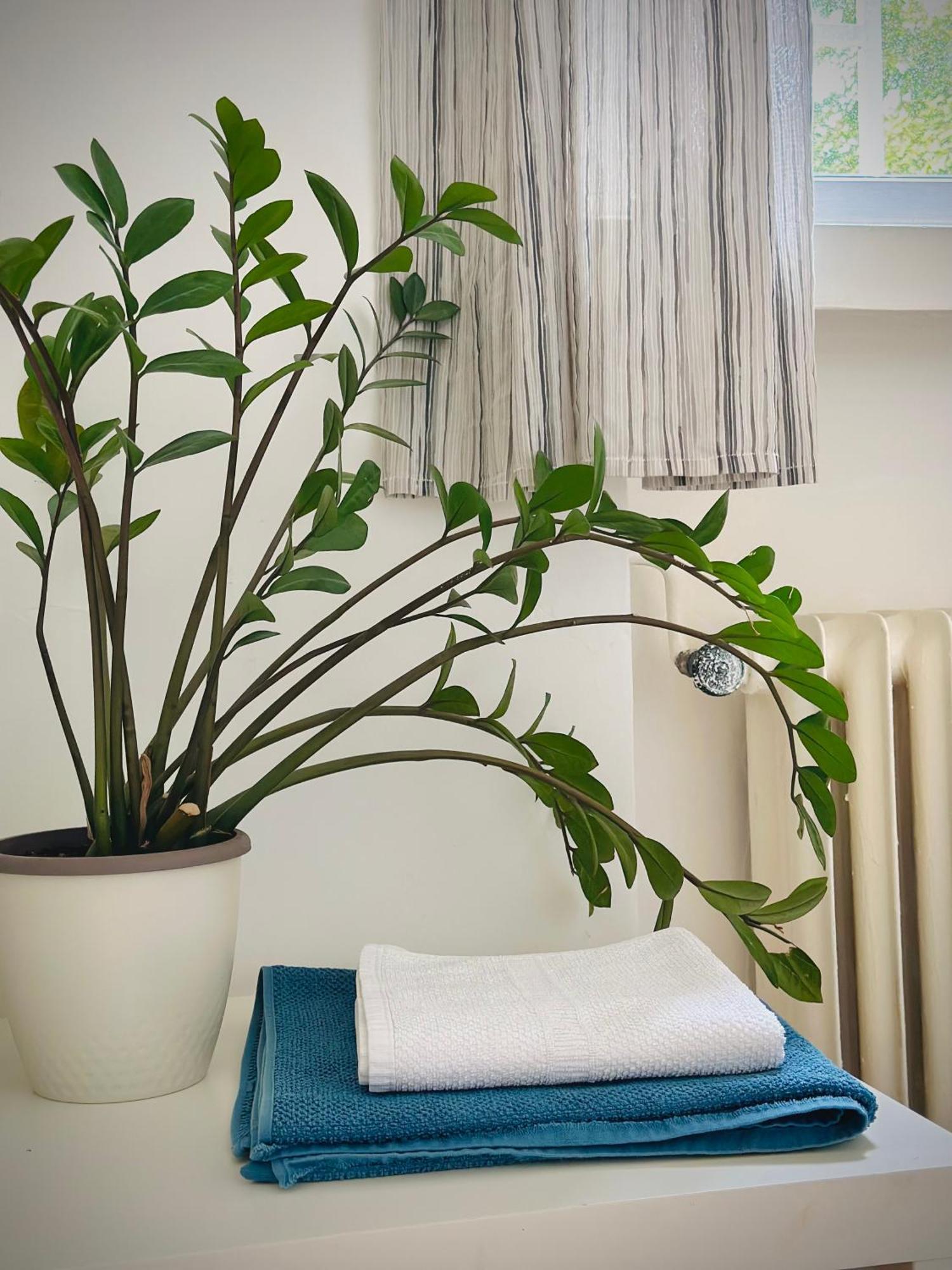 Boho Apartment In Old Town บราติสลาวา ภายนอก รูปภาพ