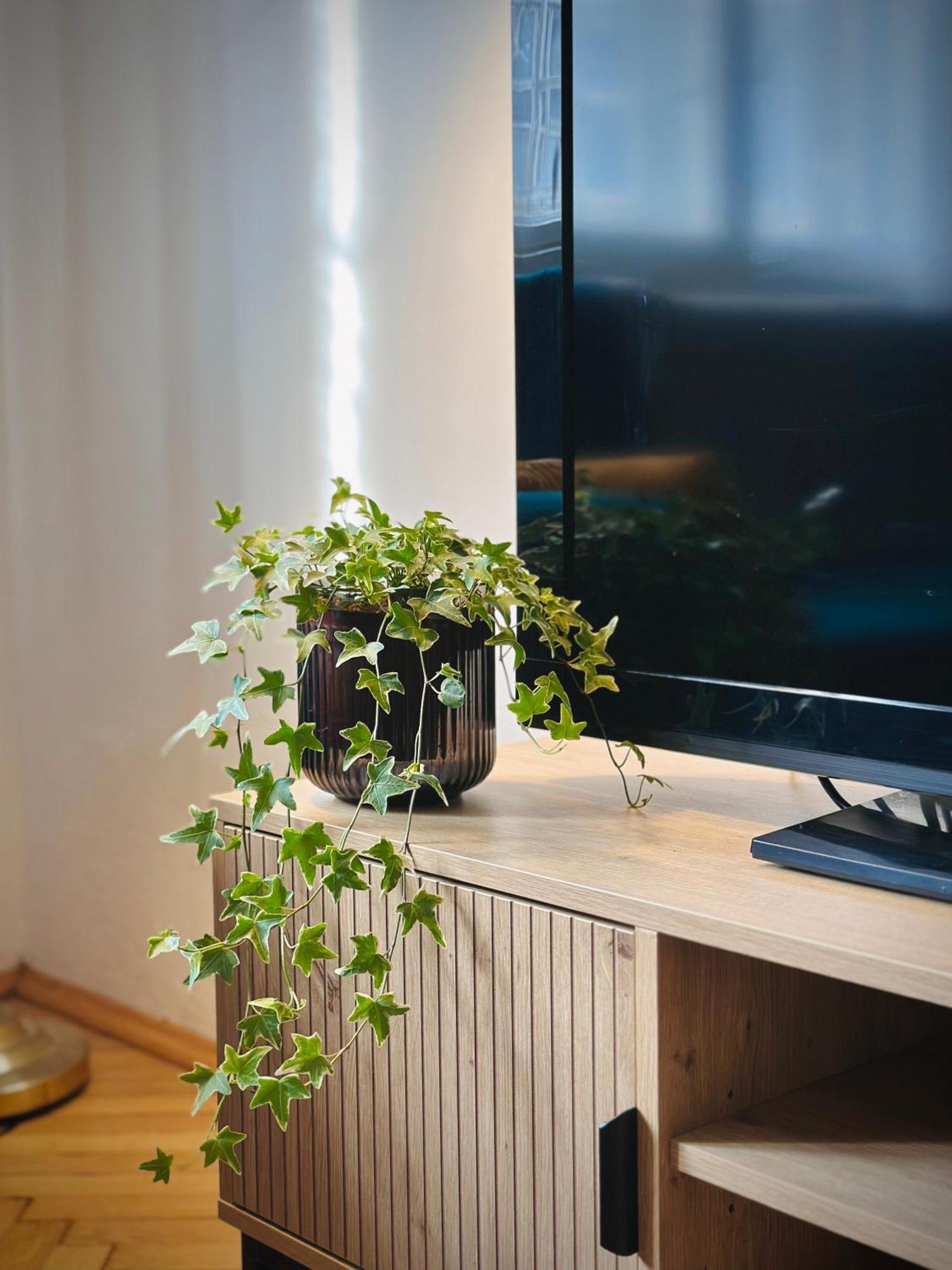 Boho Apartment In Old Town บราติสลาวา ภายนอก รูปภาพ